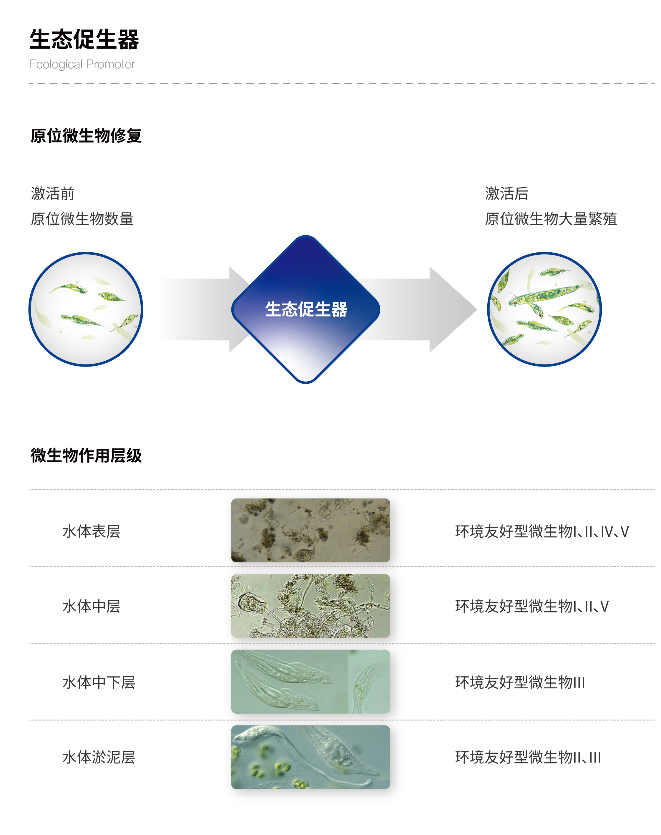 小流域生態治理技術